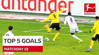 Top 5 Goals  Haaland, Silva & Co | Matchday 18 - 2020/21