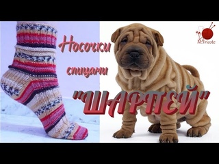 Носочки спицами. ШАРПЕЙ. #(2022.)