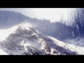 The terrible blizzard throws its snow into the icy forest while the bushes tremble very quickly
