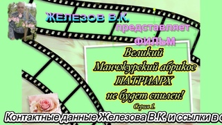 Великий Манчжурский абрикос ПАТРИАРХ не будет спилен!Серия1.