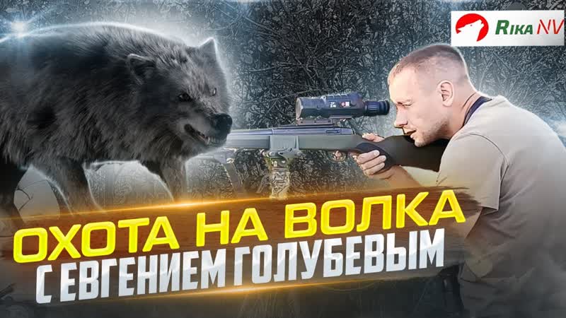 Наказали волков в Беларуси Охота на хищника с Евгением