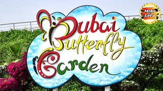 ⭐Experience The Magical Beauty Of Dubai  Butterfly Garden⭐
