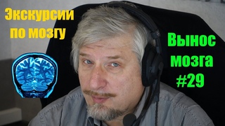 Экскурсии по мозгу. Сергей Савельев (Вынос мозга #29)