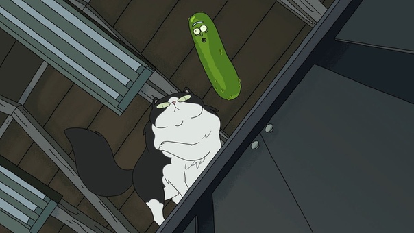 Ricking Morty S3 E3 Pickle Rick, Rick and Morty, Adult