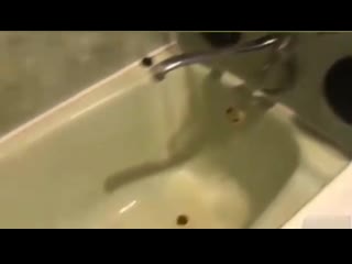 Машины нет, но магнитола есть