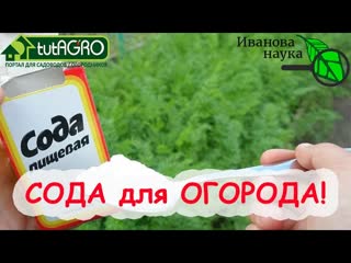МАЛЕНЬКАЯ ЛОЖЕЧКА ДЛЯ БОЛЬШОГО УРОЖАЯ
