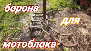 Борона для мотоблока.