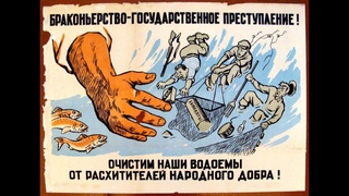 Браконьер. Старая Кёрша