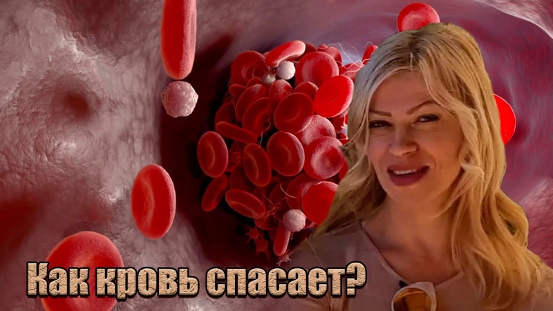 2 Гнозис и группа крови. Тебе это необходимо знать. Интервью