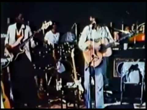 George Harrison 1974, Dark Horse Live Neon Chimp