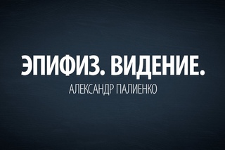 Эпифиз. Видение. Александр Палиенко.