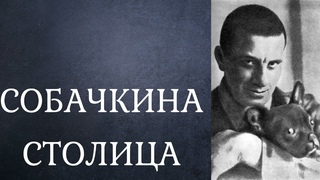 Собачкина столица - так назвал поэт Владимир Маяковский город Краснодар