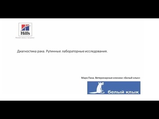 Вебинар на тему: День онкологии. Часть 2. Лектор  Марк Пака.