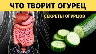 Удивительное Свойство ОГУРЦА. Чего Вы Не Знали