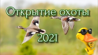 Открытие сезона охоты 2021  Норма добыта!