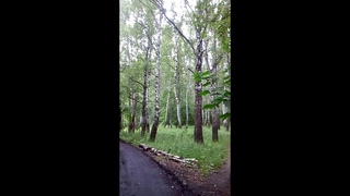 Выпуск 7.В деревне Телятинки.