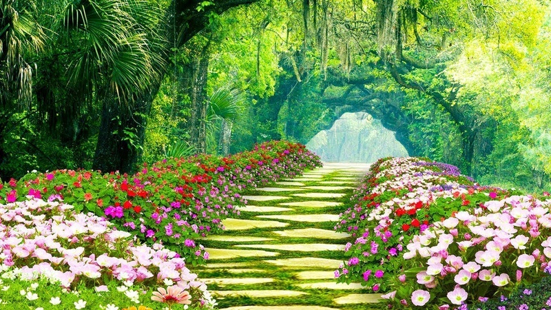 healing music for the heart and blood vessels Gentle music, soothes the nervous system and