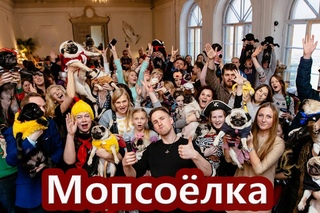 МопсоЁлка 2 Санкт-Петербург| МОПСЫ В СМЕШНЫХ КОСТЮМАХ | PUG TV #Кексанутые