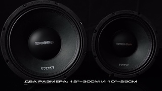Акустика Dynamic State PRO PMW 300 и PRO PMW 250