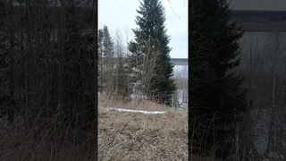 Состояние реки Печора на  / Лёд тронулся / Начало ледохода