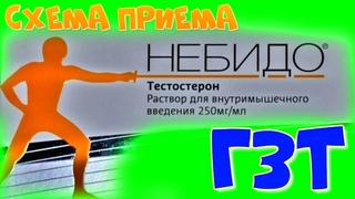 схема приёма небидо (тестостерон ундеканоат) на гормонозаместительной терапии (гзт/згт)