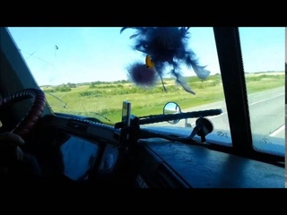 Автостоп 2014