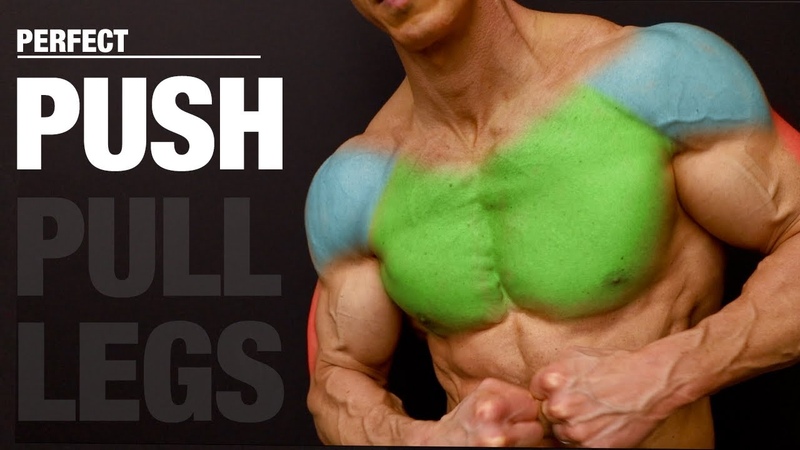 The PERFECT Push Workout ( PUSH, PULL,