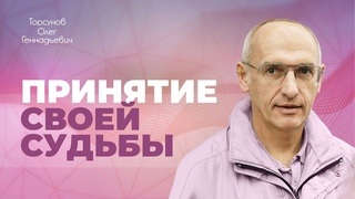 Мы не планируем свою жизнь! Принятие себя и своей судьбы (Торсунов О. Г.)