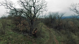 Video by Alexey Kalinin