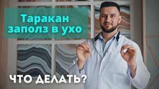 Инородное тело в ухе у ребенка, застряла игрушка. Таракан заполз в ухо. Что делать