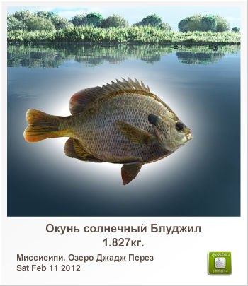 Светлана Лабудина | Вербилки