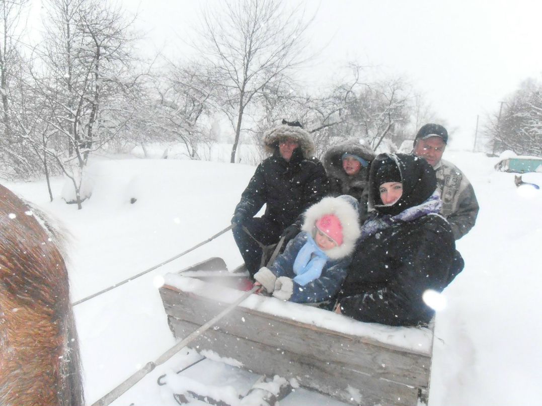 Любовь Литвинчук | Житомир