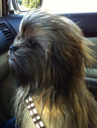 Михаил Панарин | Днепр (Днепропетровск)