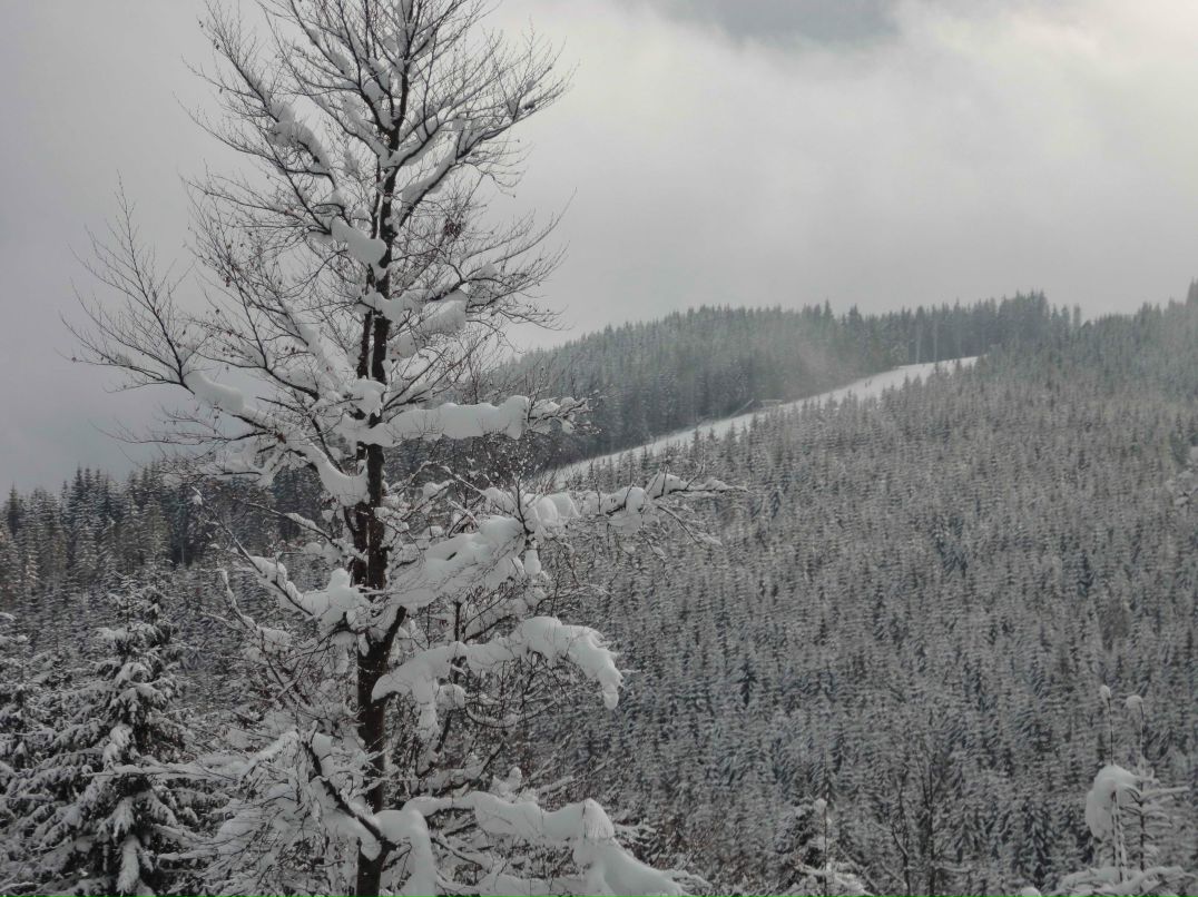 Андрей Леонов | Минск