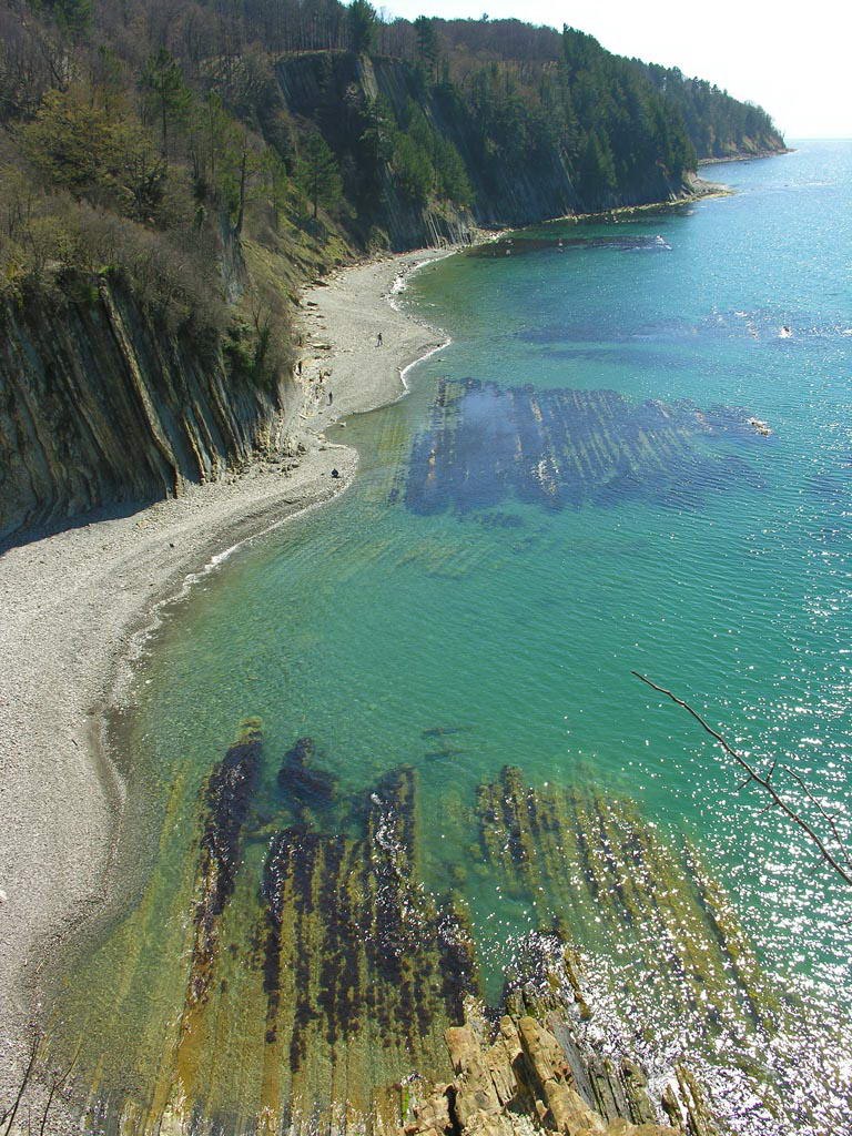 Наталья Ганиева | Tokyo
