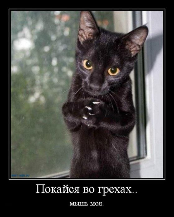 Владимир Шубёнкин | Саратов