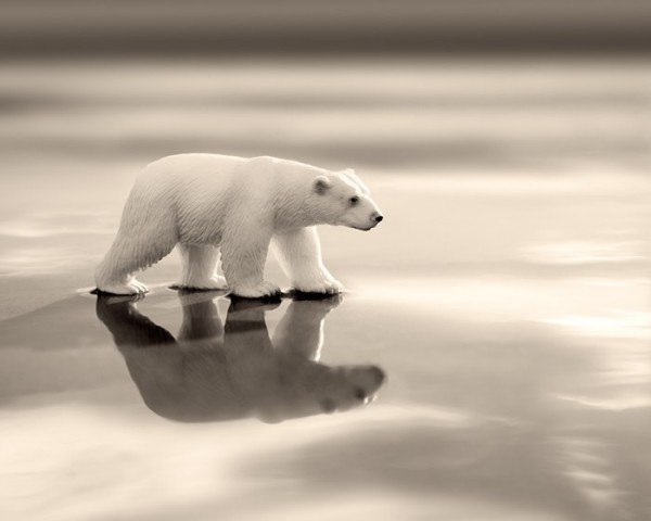 Андрей Горский | Киев