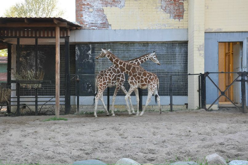 Евгения Калинина | Санкт-Петербург