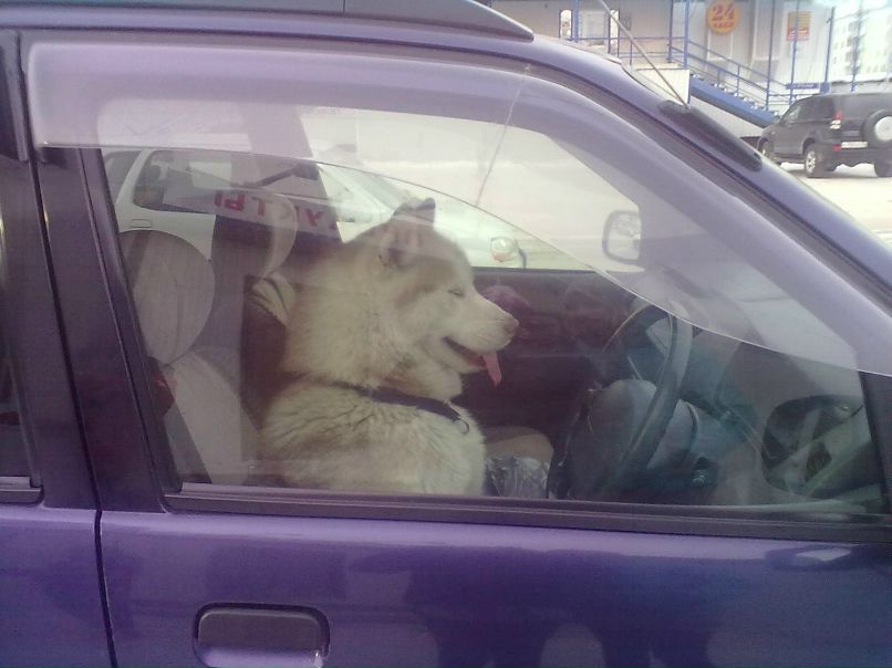 Марина Доценко | Якутск