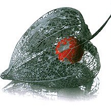 №28, Михаил Земсков, Алматы №28, Михаил Земсков, Алматы