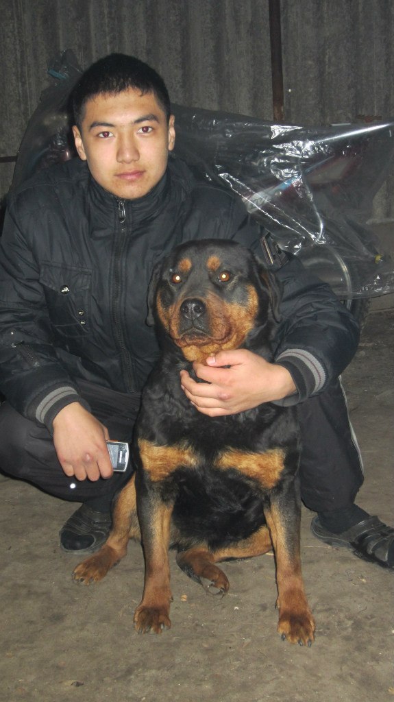 Владимир Цай | Кременчуг