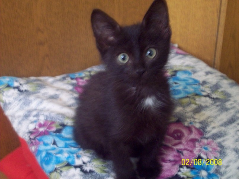 Ирина Рощина | Уфа