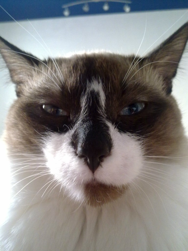 Анна Аверина | Москва