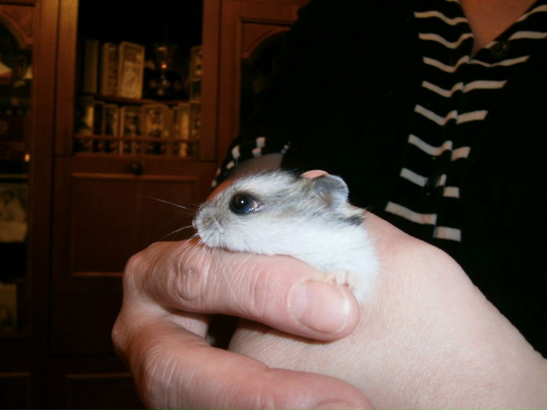 Андрей Караваев | Москва