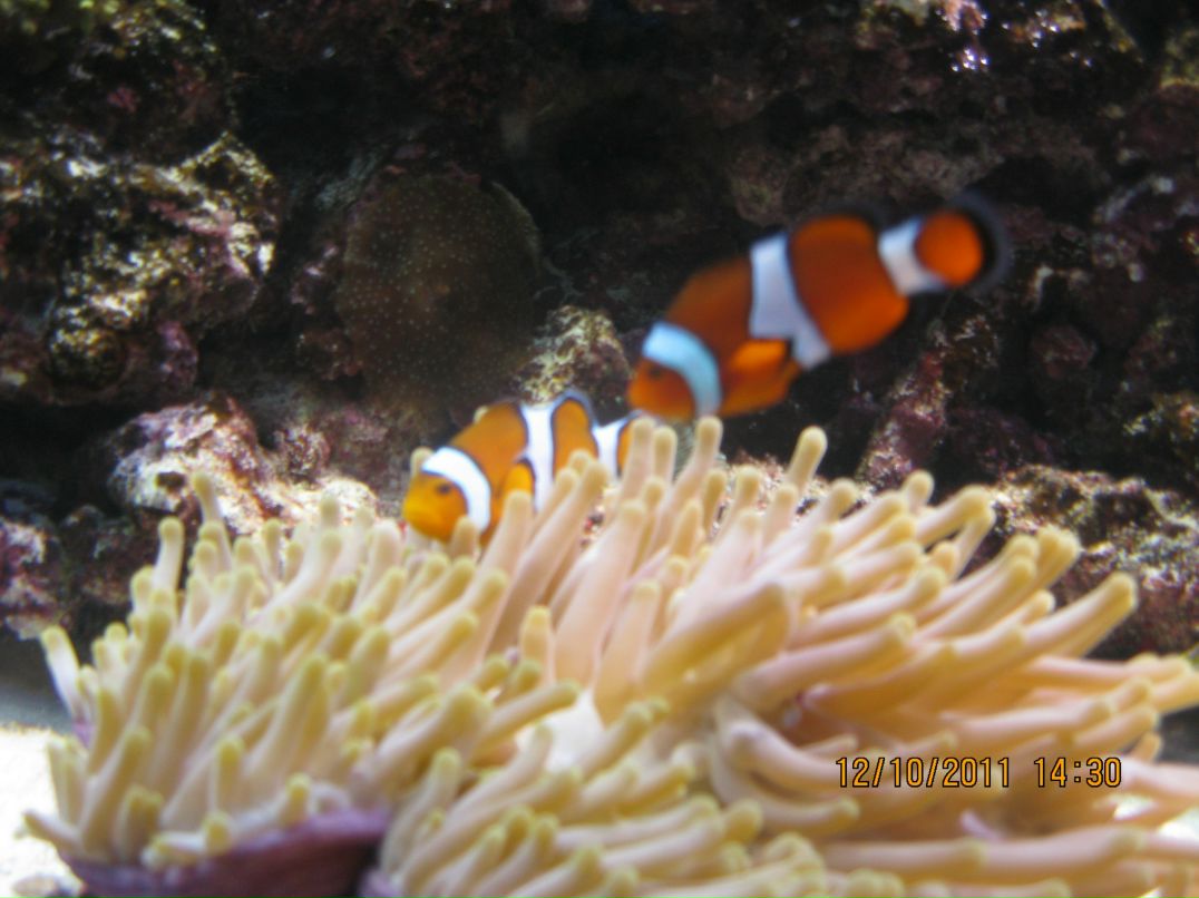 Андрей Финогеев ™Andreuch™ | Тюмень