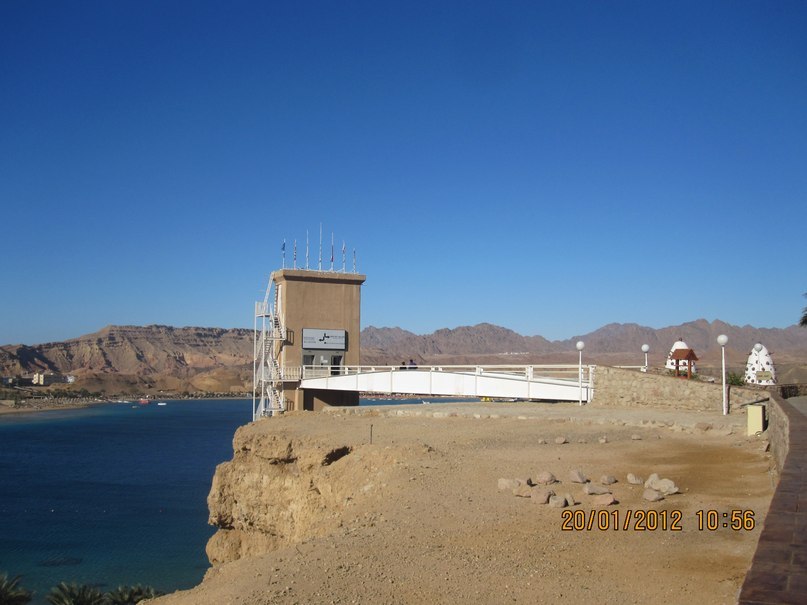 Жанна Левина | Щелково