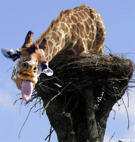 Сергей Иванов | Новокузнецк