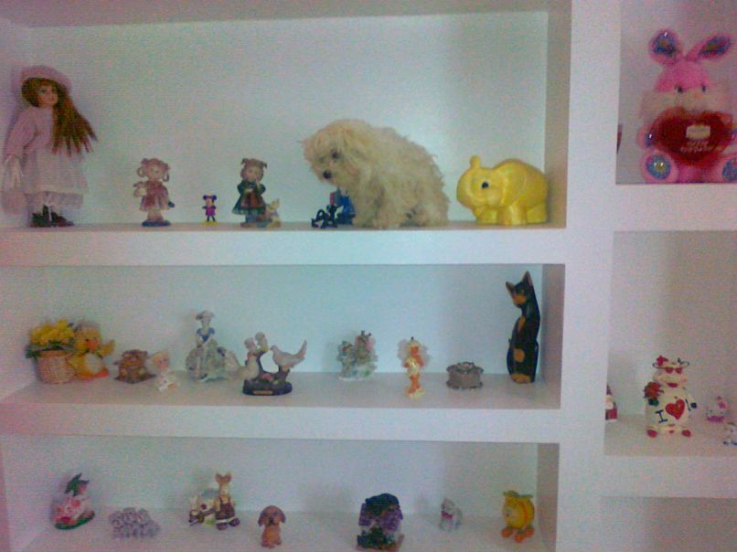 Густав Сакач | Мукачево