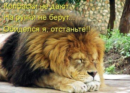 №38, Анастасия Браманис, 35 лет, Одесса №38, Анастасия Браманис, 35 лет, Одесса