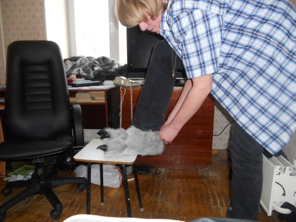 Стас Шестаков !!!panda!!! | Пермь